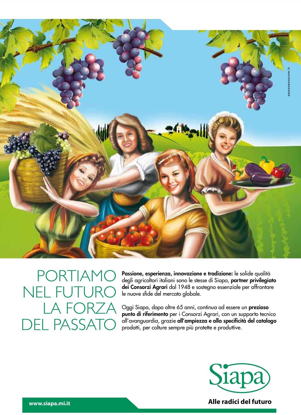 Oggi Siapa, dopo oltre 65 anni, continua ad essere un prezioso punto di riferimento per i Consorzi Agrari, con un supporto tecnico all