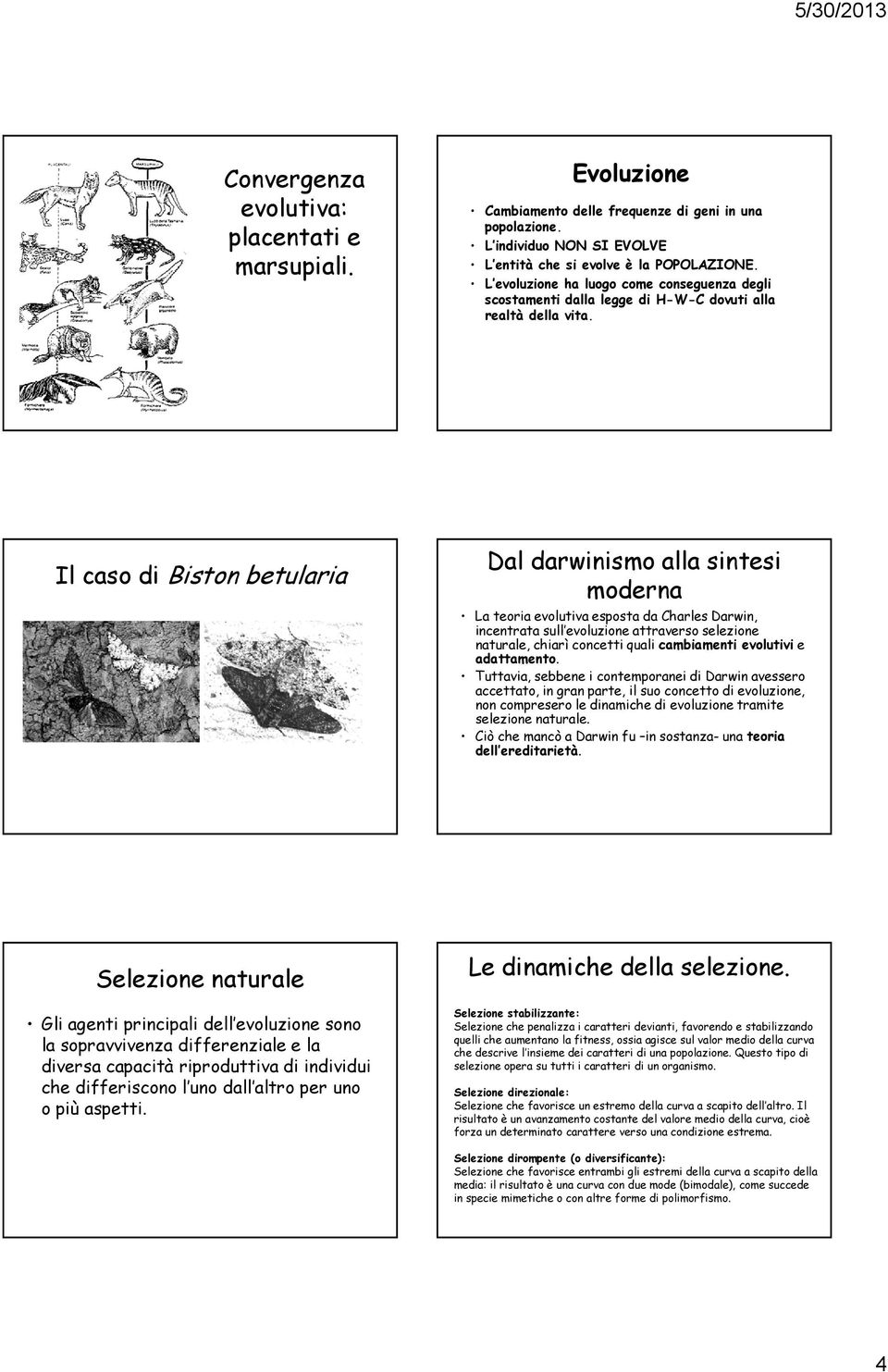 Il caso di Biston betularia Dal darwinismo alla sintesi moderna La teoria evolutiva esposta da Charles Darwin, incentrata sull evoluzione attraverso selezione naturale, chiarì concetti quali