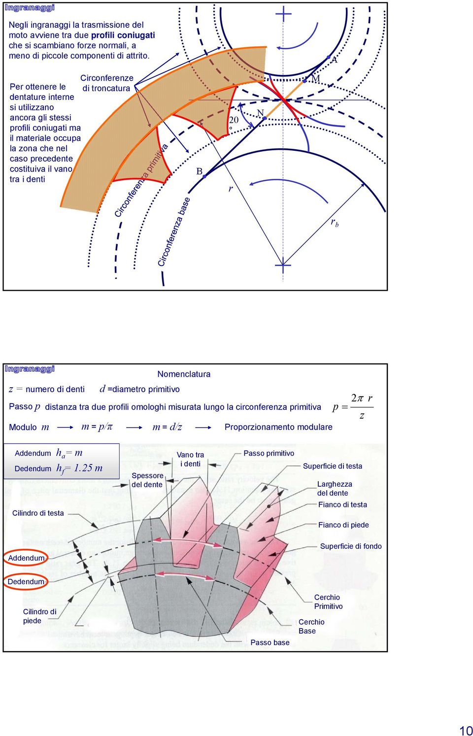 umeo di deti Passo p distaza ta due pofili omologhi misuata lugo la cicofeeza pimitiva Modulo m Nomeclatua d =diameto pimitivo m = p/π m = d/z Popozioameto modulae p z Addedum h a = m