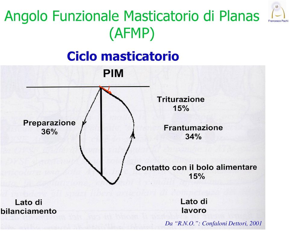 (AFMP) Ciclo masticatorio