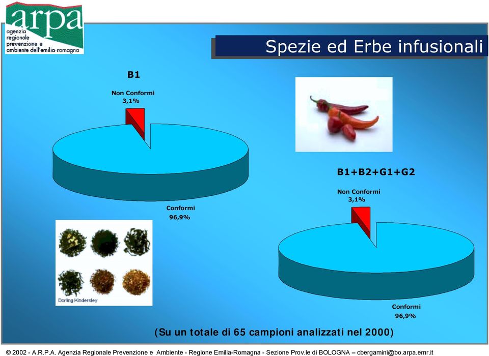 96,9% Non Conformi 3,1% (Su un totale