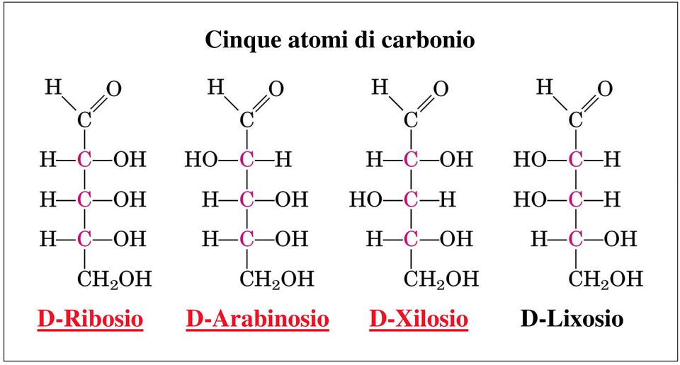 D-Ribosio