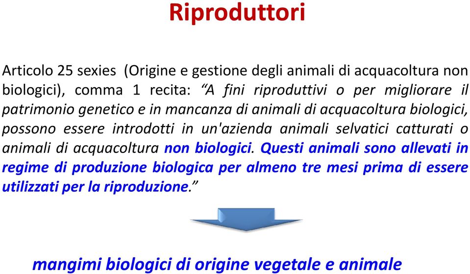 introdotti in un'azienda animali selvatici catturati o animali di acquacoltura non biologici.