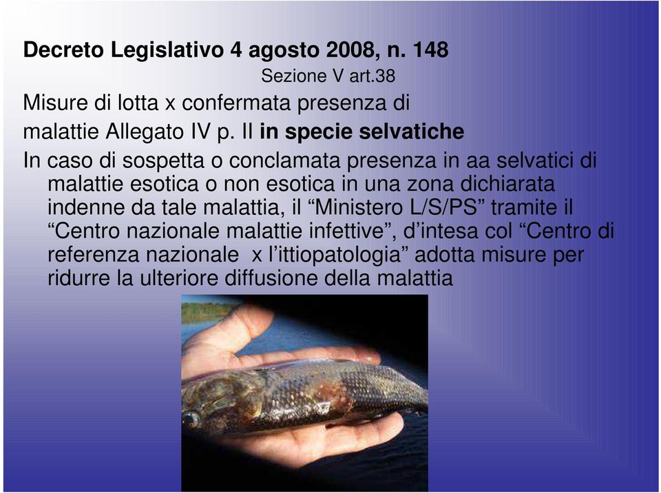 II in specie selvatiche In caso di sospetta o conclamata presenza in aa selvatici di malattie esotica o non esotica in