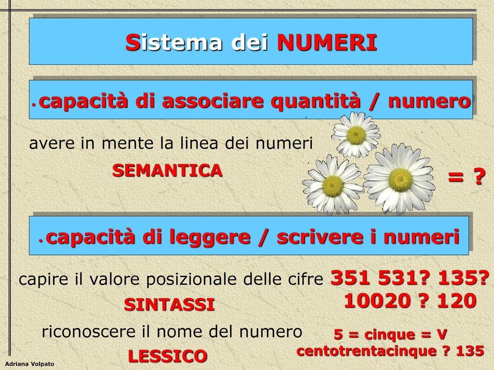 capacità di leggere / scrivere i numeri capire il valore posizionale delle