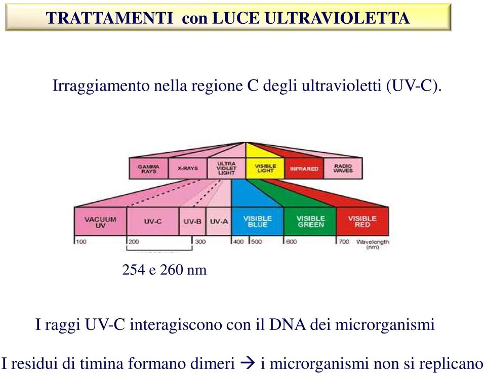 254 e 260 nm I raggi UV-C interagiscono con il DNA dei