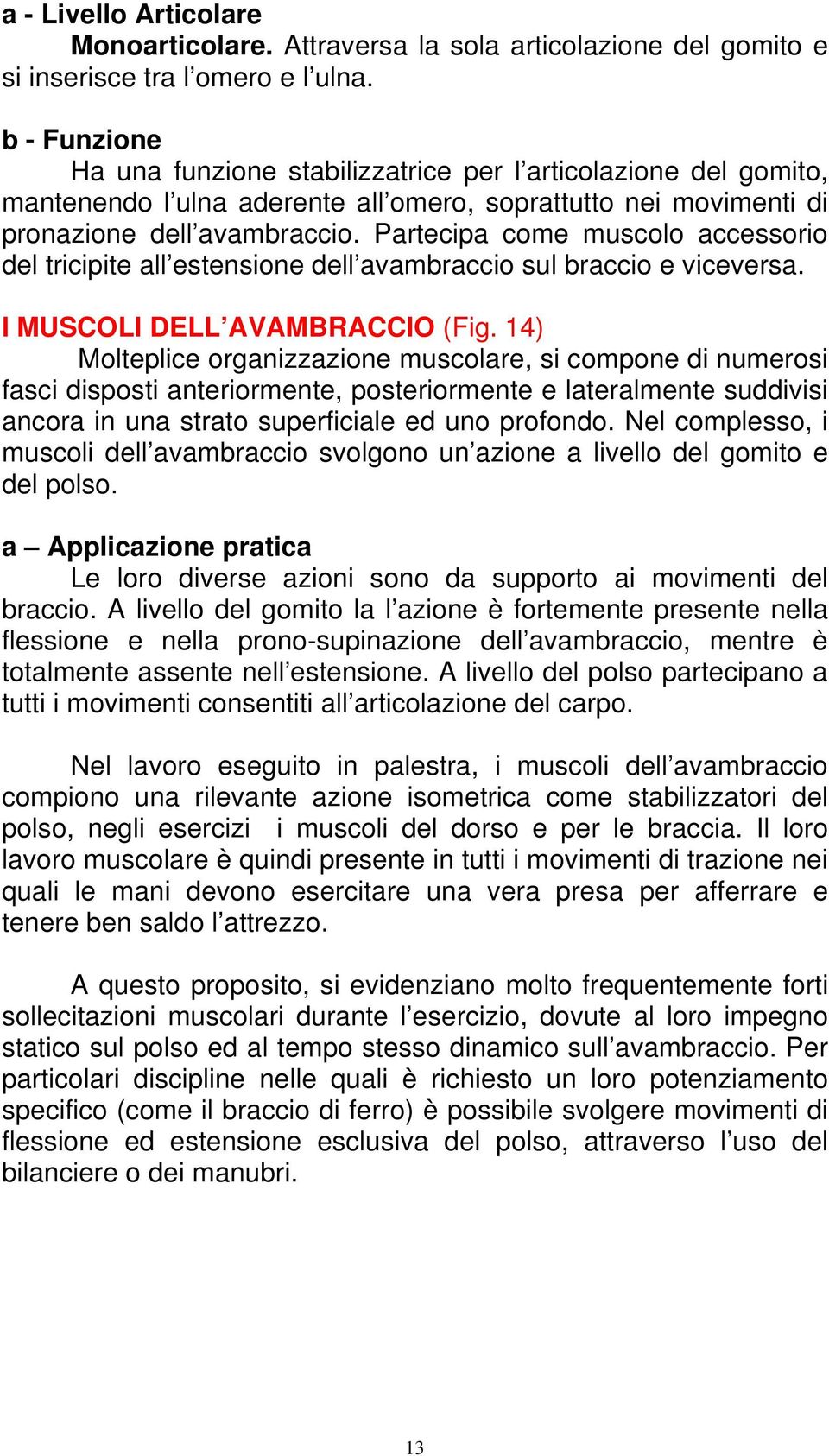 Partecipa come muscolo accessorio del tricipite all estensione dell avambraccio sul braccio e viceversa. I MUSCOLI DELL AVAMBRACCIO (Fig.