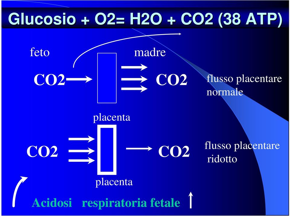 placenta CO2 Acidosi placenta CO2