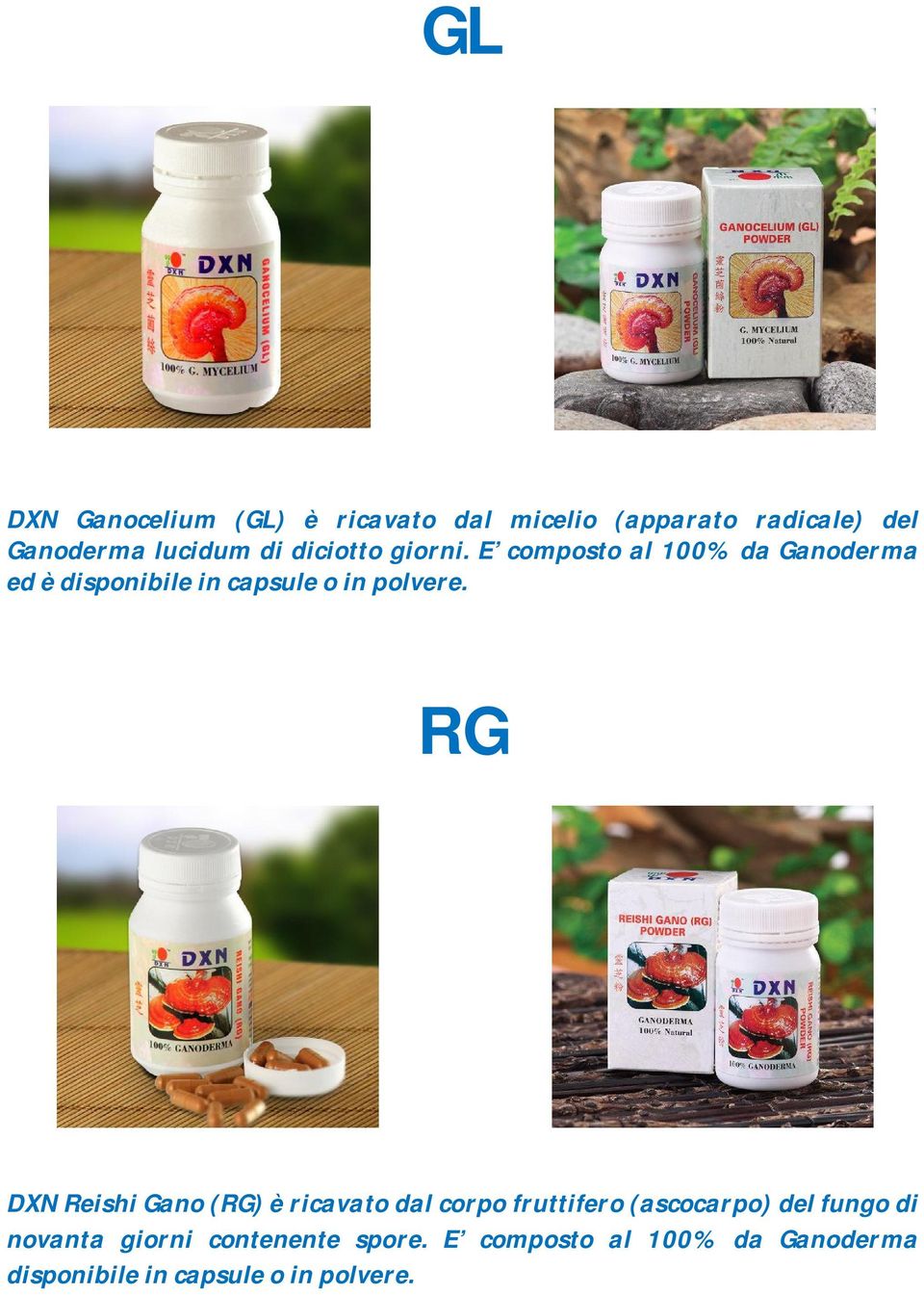 RG DXN Reishi Gano (RG) è ricavato dal corpo fruttifero (ascocarpo) del fungo di novanta