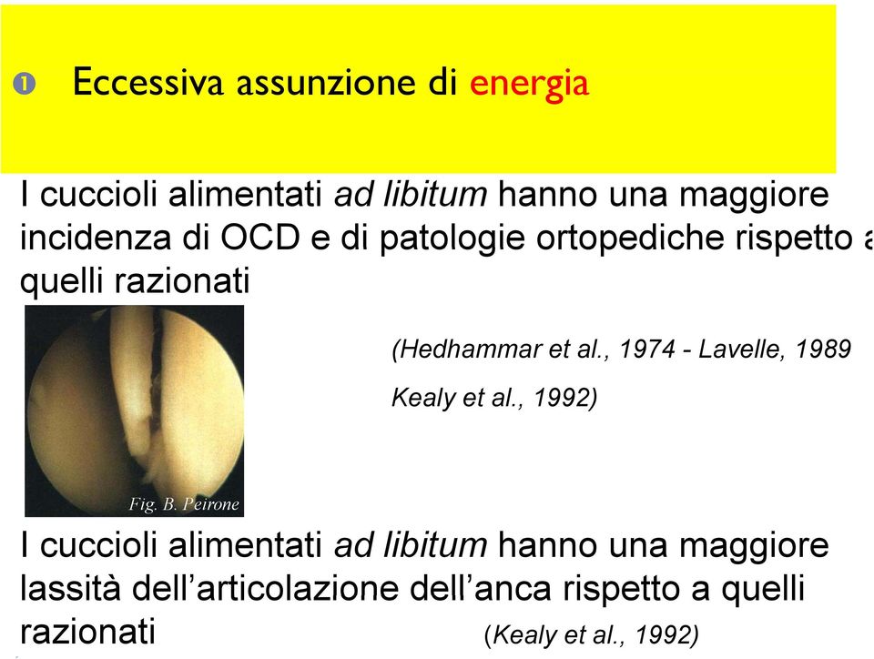 , 1974 - Lavelle, 1989 Kealy et al., 1992) Fig. B.