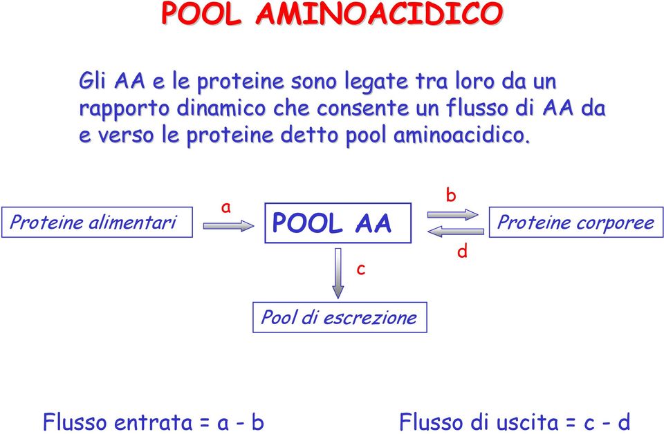 detto pool aminoacidico.