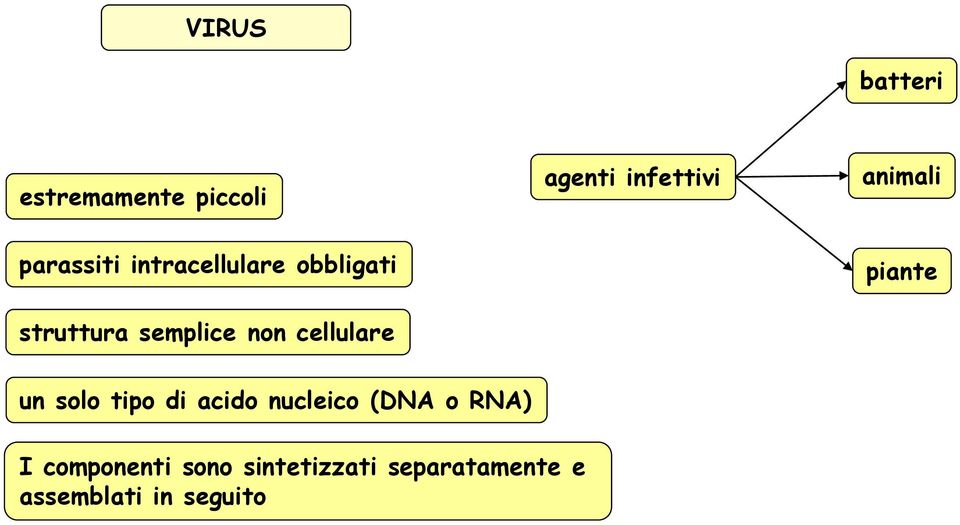 cellulare piante un solo tipo di acido nucleico (DNA o RNA) I