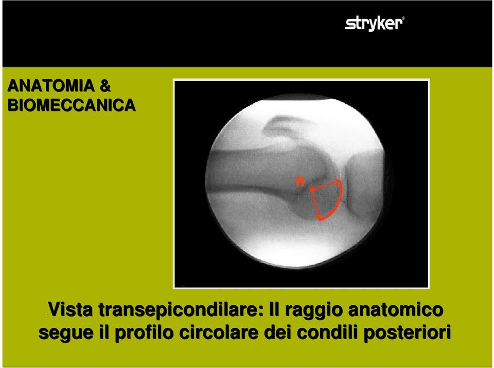 anatomico segue il profilo