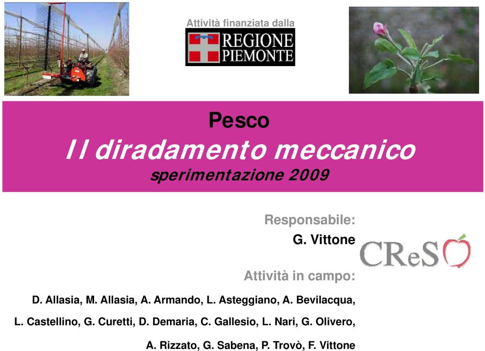 Armando, L. Asteggiano, A. Bevilacqua, L. Castellino, G. Curetti, D.
