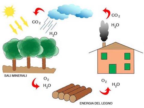 Le biomasse si possono considerare una forma sofisticata di accumulo dell