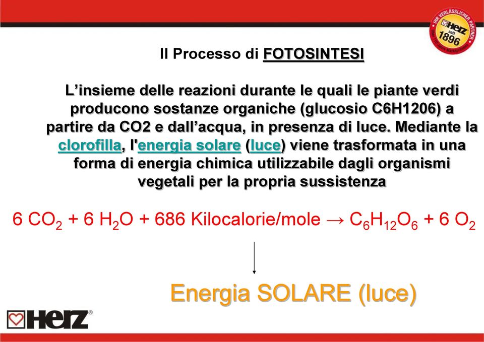 Mediante la clorofilla, l'energia solare (luce) viene trasformata in una forma di energia chimica