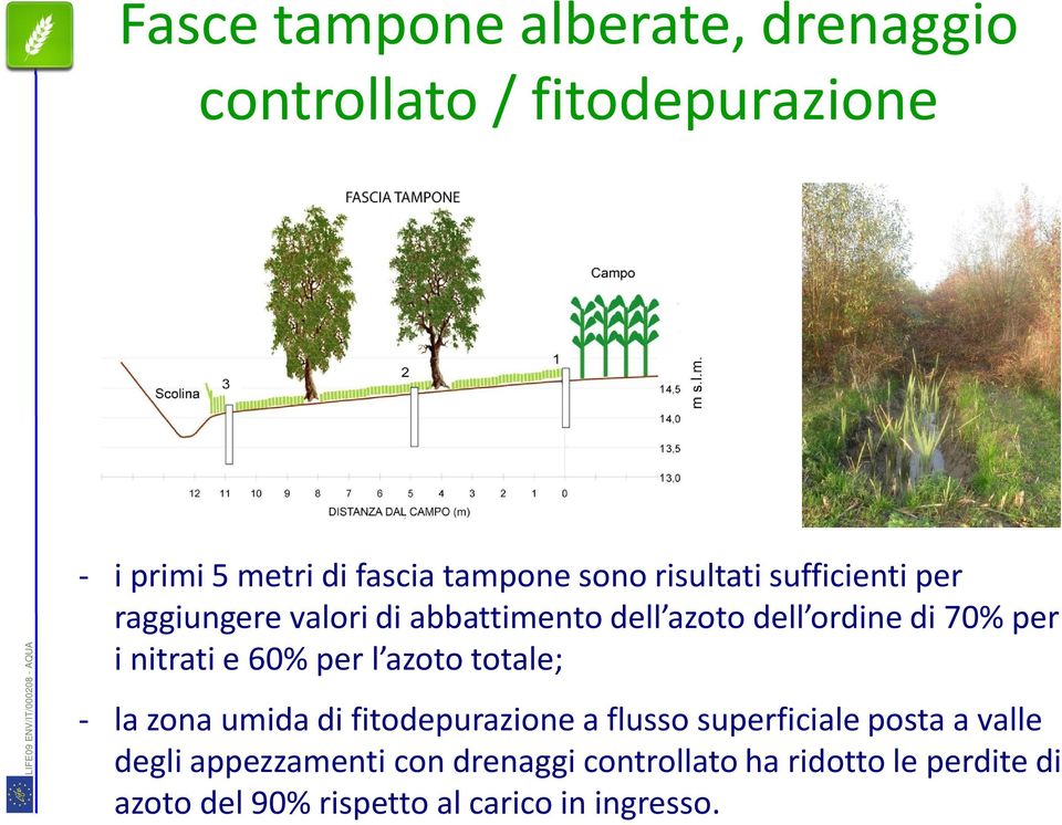 e 60% per l azoto totale; - la zona umida di fitodepurazione a flusso superficiale posta a valle degli