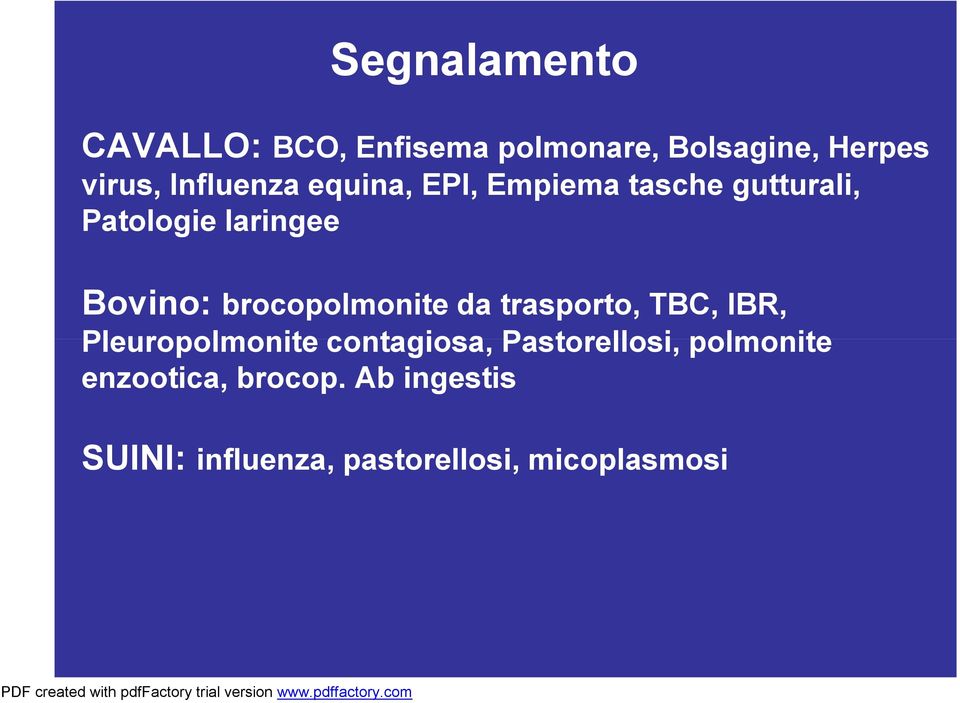 brocopolmonite da trasporto, TBC, IBR, Pleuropolmonite contagiosa,