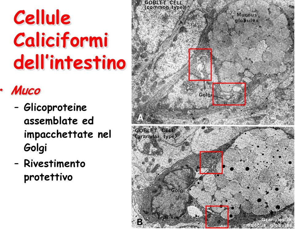 assemblate ed impacchettate