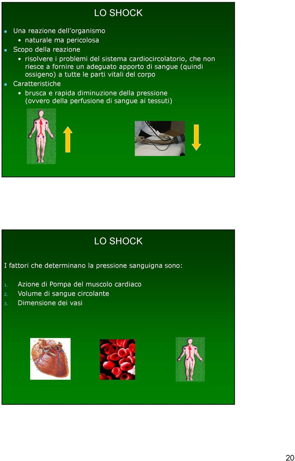 Caratteristiche brusca e rapida diminuzione della pressione (ovvero della perfusione di sangue ai tessuti) LO SHOCK I fattori