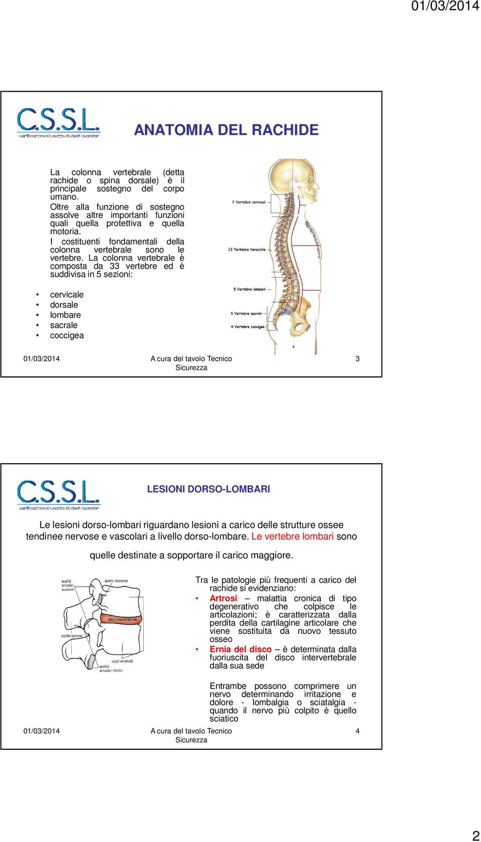 La colonna vertebrale è composta da 33 vertebre ed è suddivisa in 5 sezioni: cervicale dorsale lombare sacrale coccigea 3 LESIONI DORSO-LOMBARI Le lesioni dorso-lombari riguardano lesioni a carico