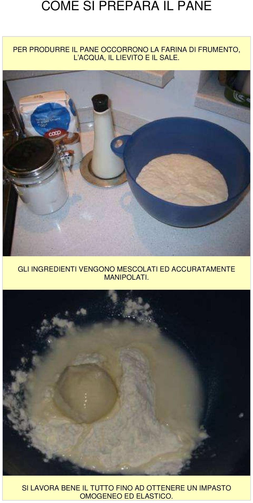 GLI INGREDIENTI VENGONO MESCOLATI ED ACCURATAMENTE MANIPOLATI.