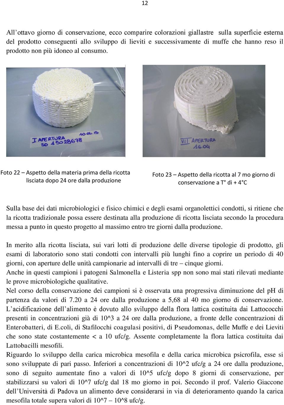 Foto 22 Aspetto della materia prima della ricotta lisciata dopo 24 ore dalla produzione Foto 23 Aspetto della ricotta al 7 mo giorno di conservazione a T di + 4 C Sulla base dei dati microbiologici e