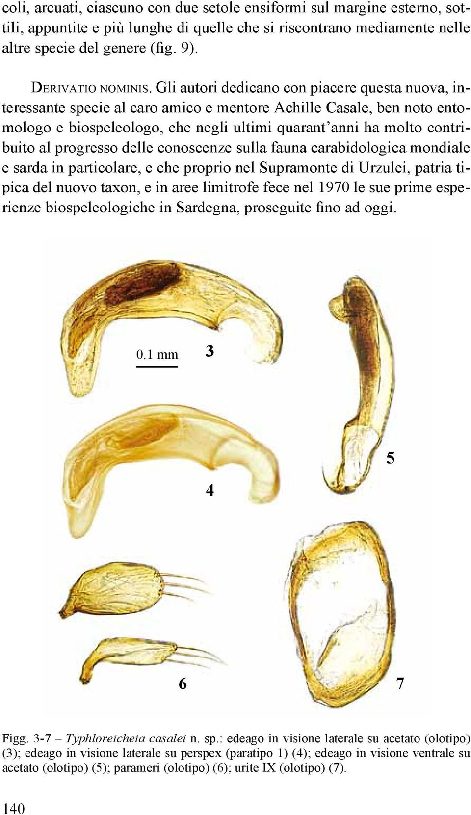 progresso delle conoscenze sulla fauna carabidologica mondiale e sarda in particolare, e che proprio nel Supramonte di Urzulei, patria tipica del nuovo taxon, e in aree limitrofe fece nel 1970 le sue