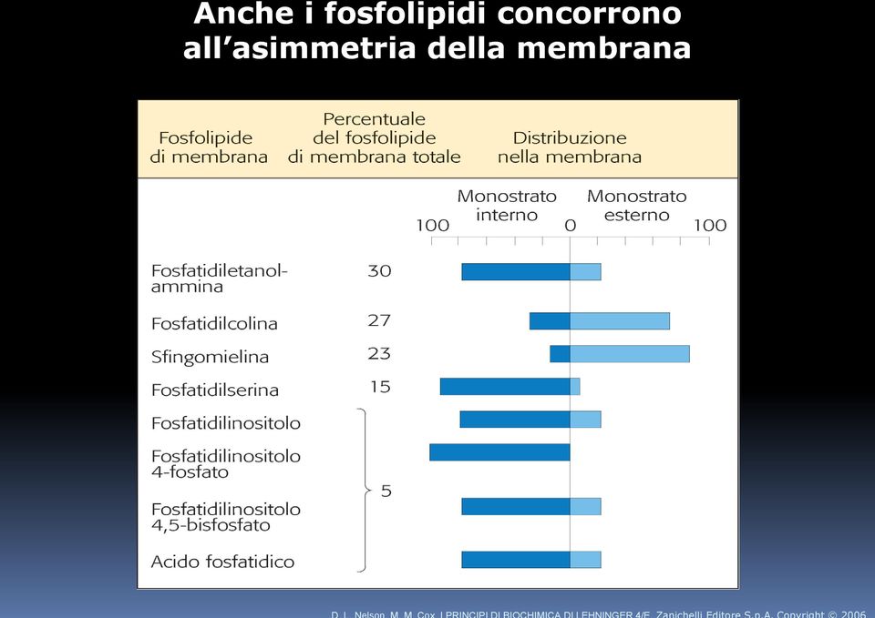 concorrono all