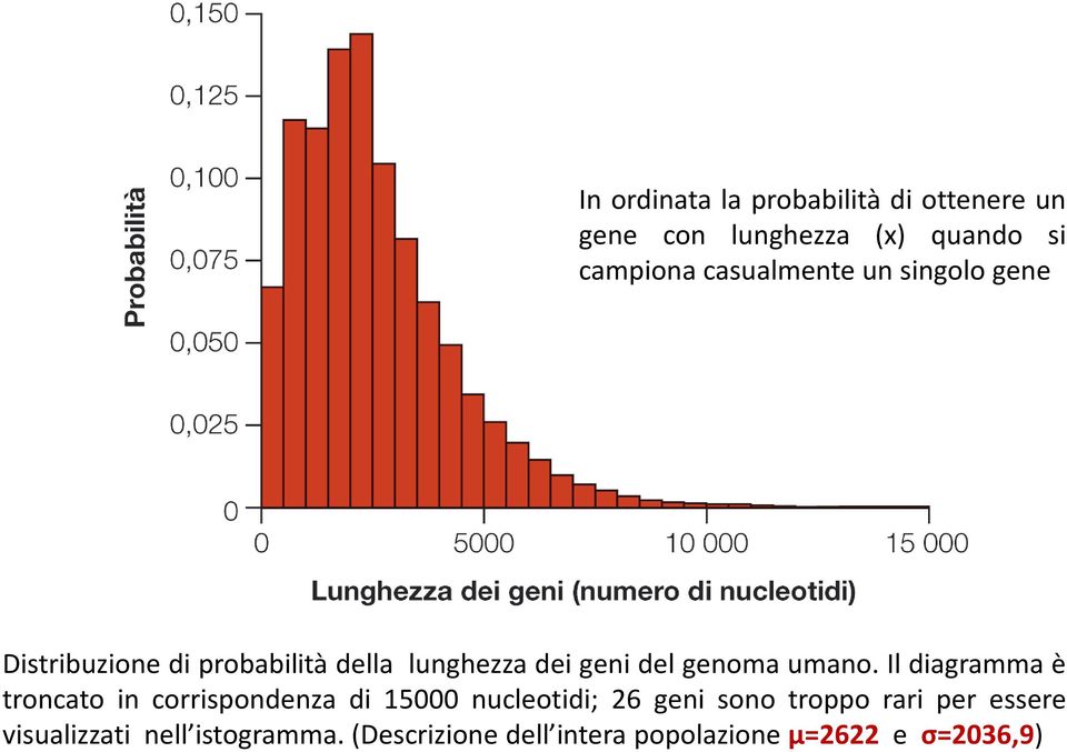 genoma umano.