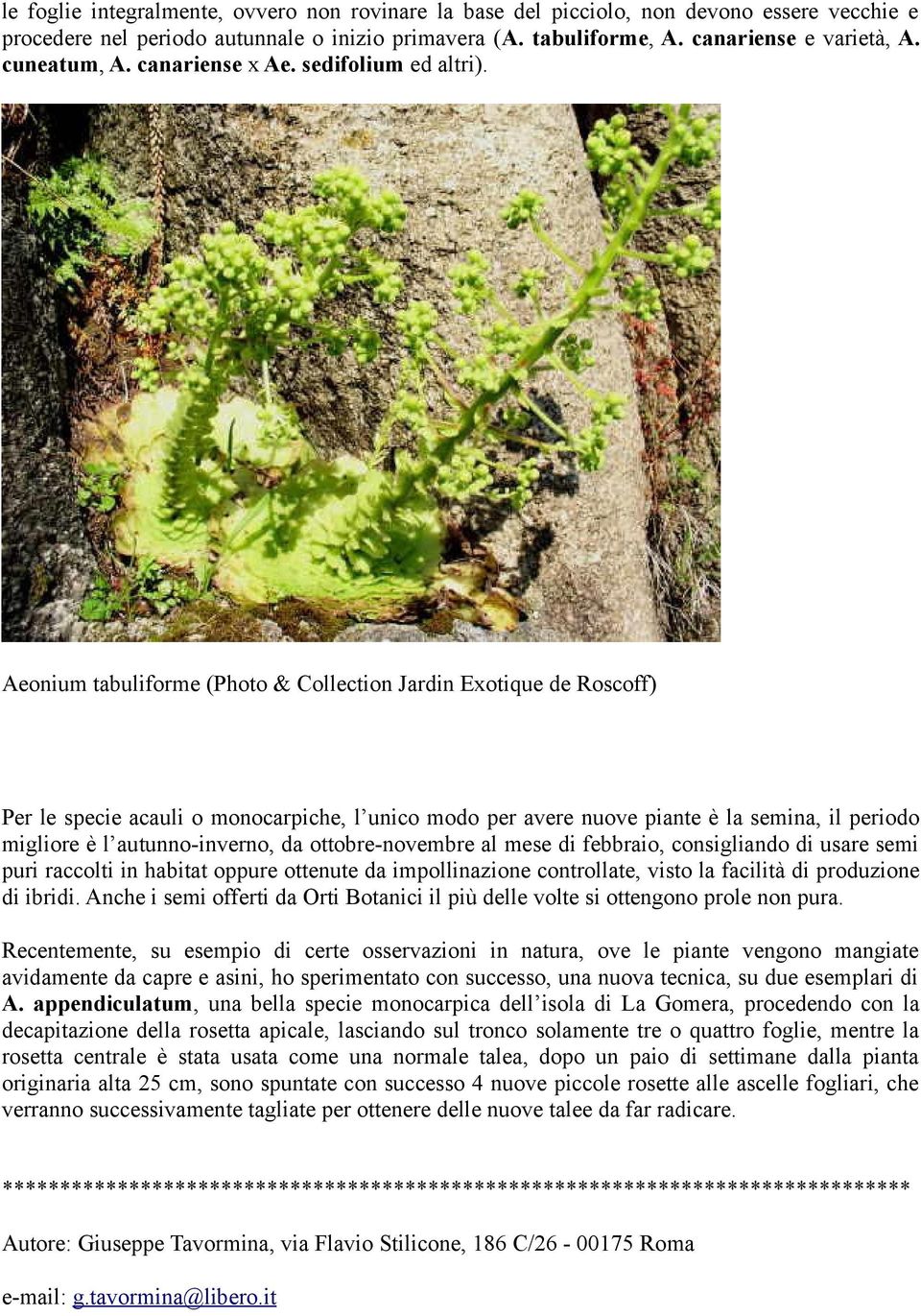 Aeonium tabuliforme (Photo & Collection Jardin Exotique de Roscoff) Per le specie acauli o monocarpiche, l unico modo per avere nuove piante è la semina, il periodo migliore è l autunno-inverno, da