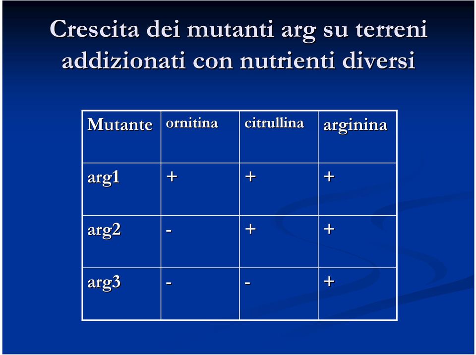 diversi Mutante ornitina