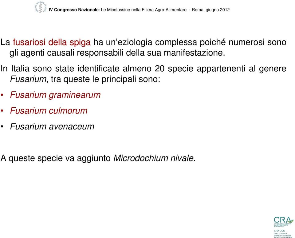 In Italia sono state identificate almeno 2 specie appartenenti al genere Fusarium, tra queste le principali