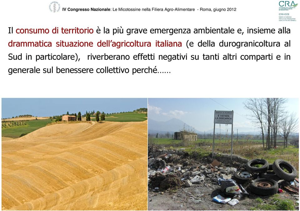 situazione dell agricoltura italiana (e della durogranicoltura al Sud in particolare),