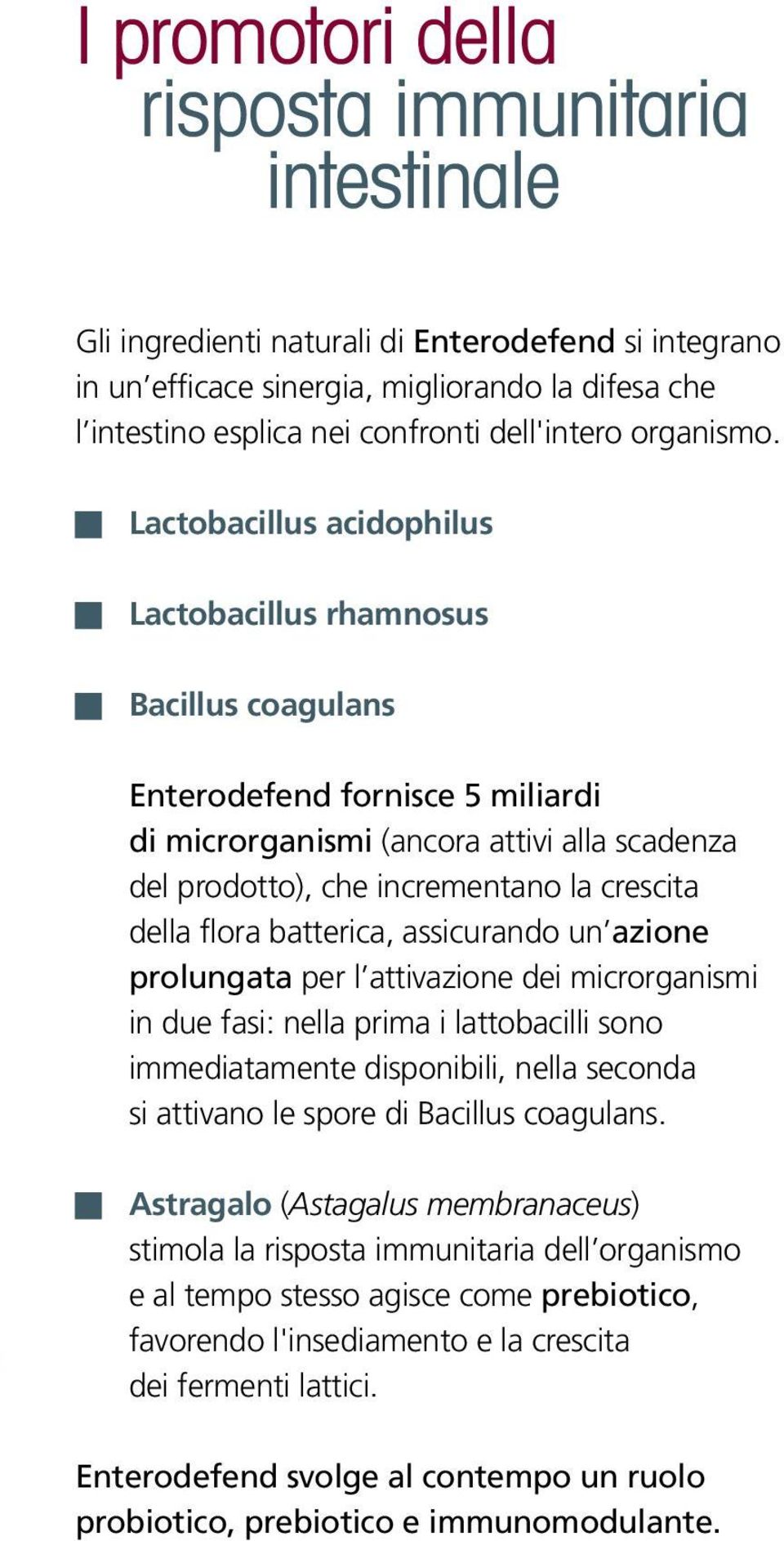 Lactobacillus acidophilus Lactobacillus rhamnosus Bacillus coagulans Enterodefend fornisce 5 miliardi di microrganismi (ancora attivi alla scadenza del prodotto), che incrementano la crescita della