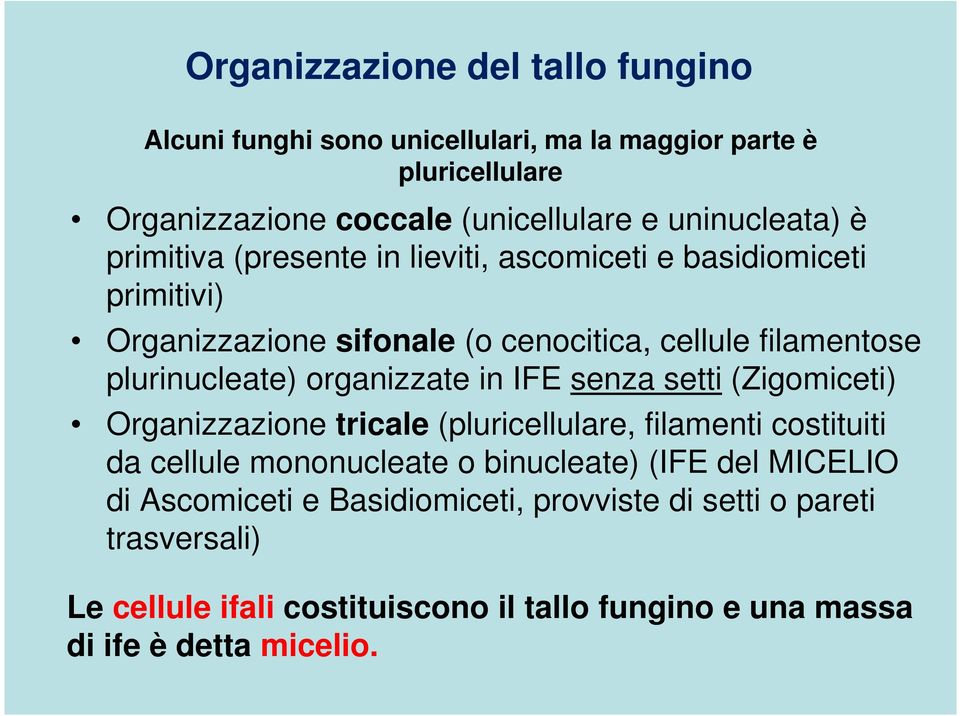 plurinucleate) organizzate in IFE senza setti (Zigomiceti) Organizzazione tricale (pluricellulare, filamenti costituiti da cellule mononucleate o