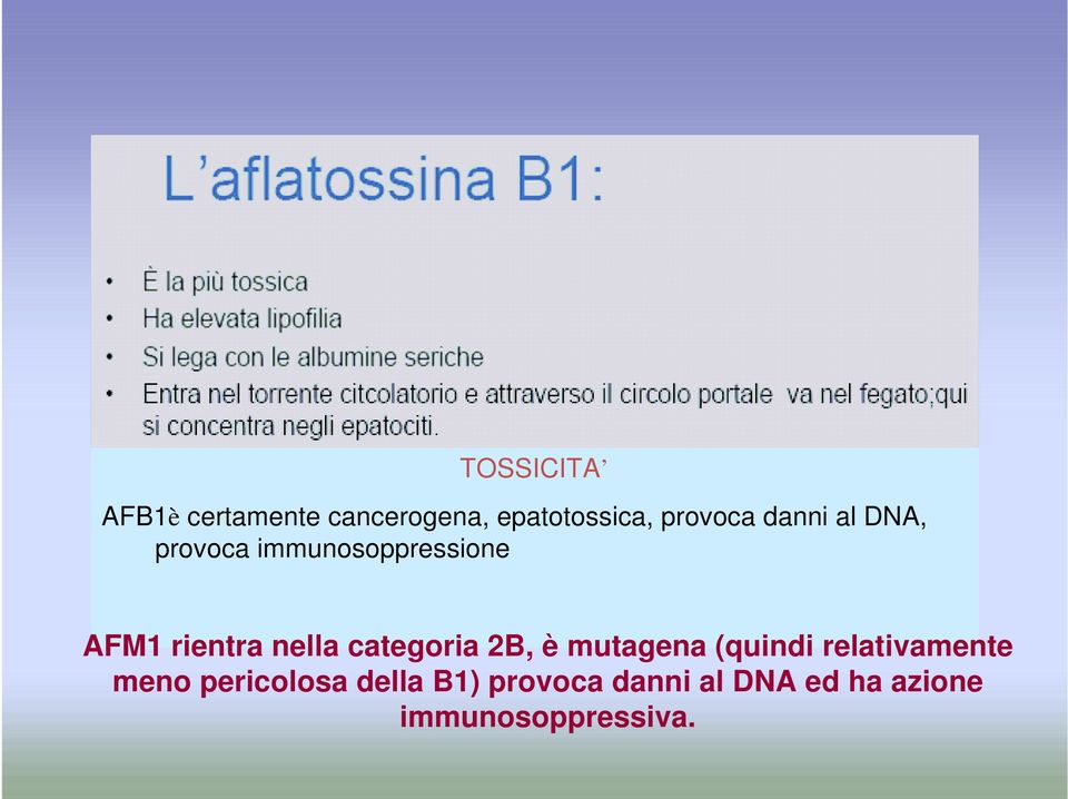 categoria 2B, è mutagena (quindi relativamente meno