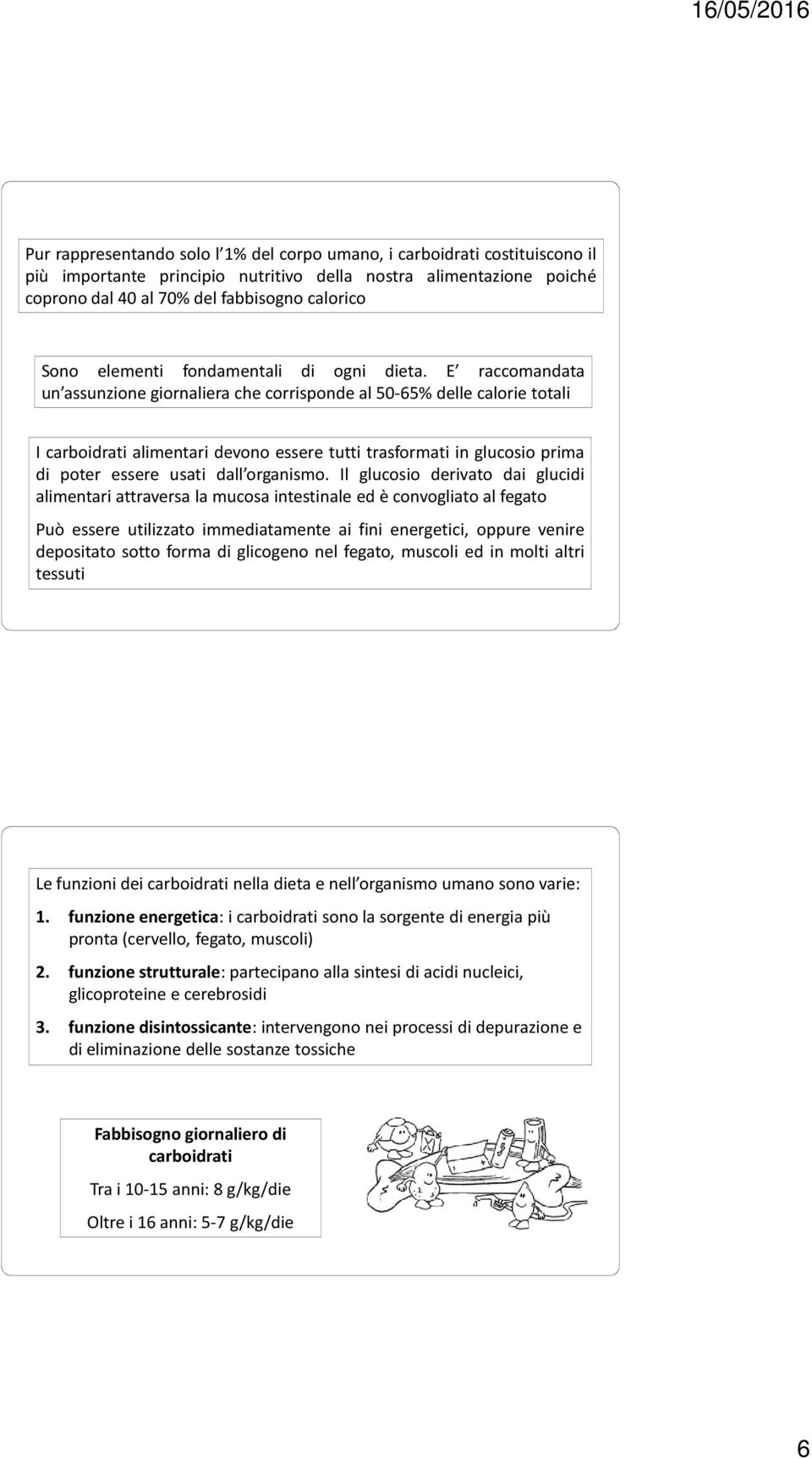 E raccomandata un assunzione giornaliera che corrisponde al 50-65% delle calorie totali I carboidrati alimentari devono essere tutti trasformati in glucosio prima di poter essere usati dall organismo.