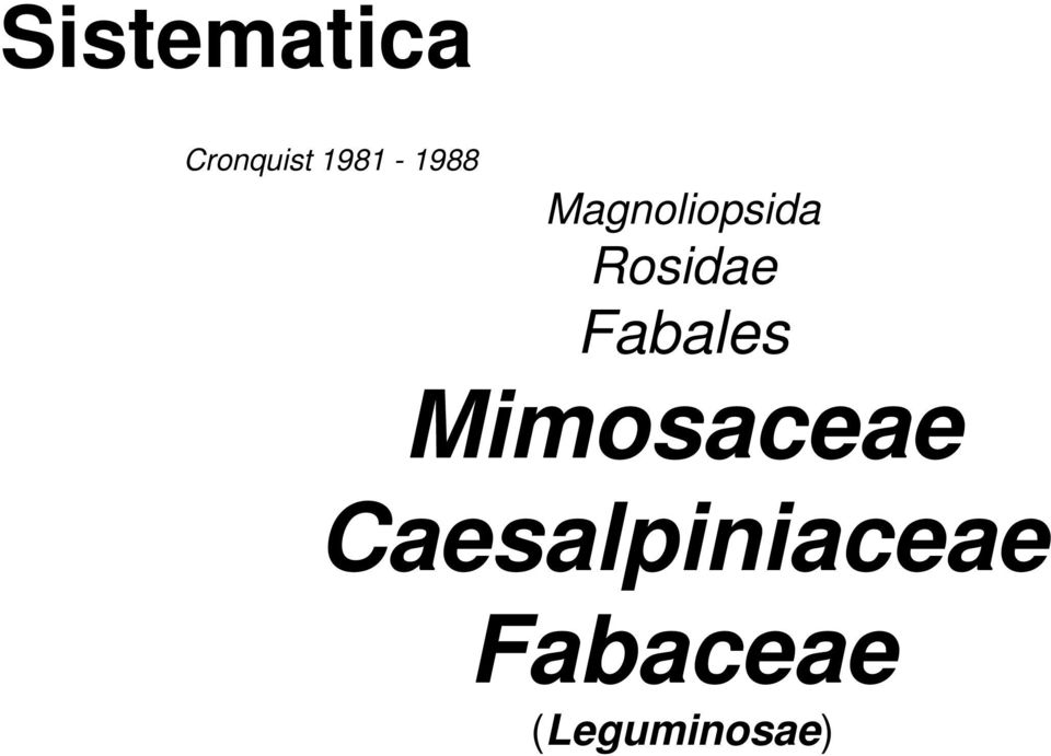 Rosidae Fabales Mimosaceae