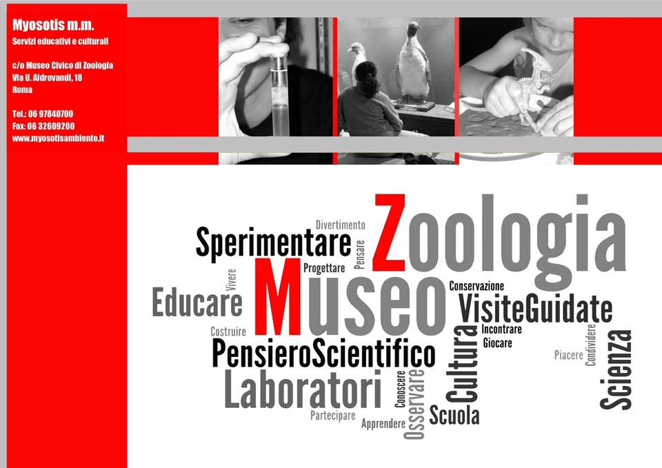Museo Civico di Zoologia Via U.