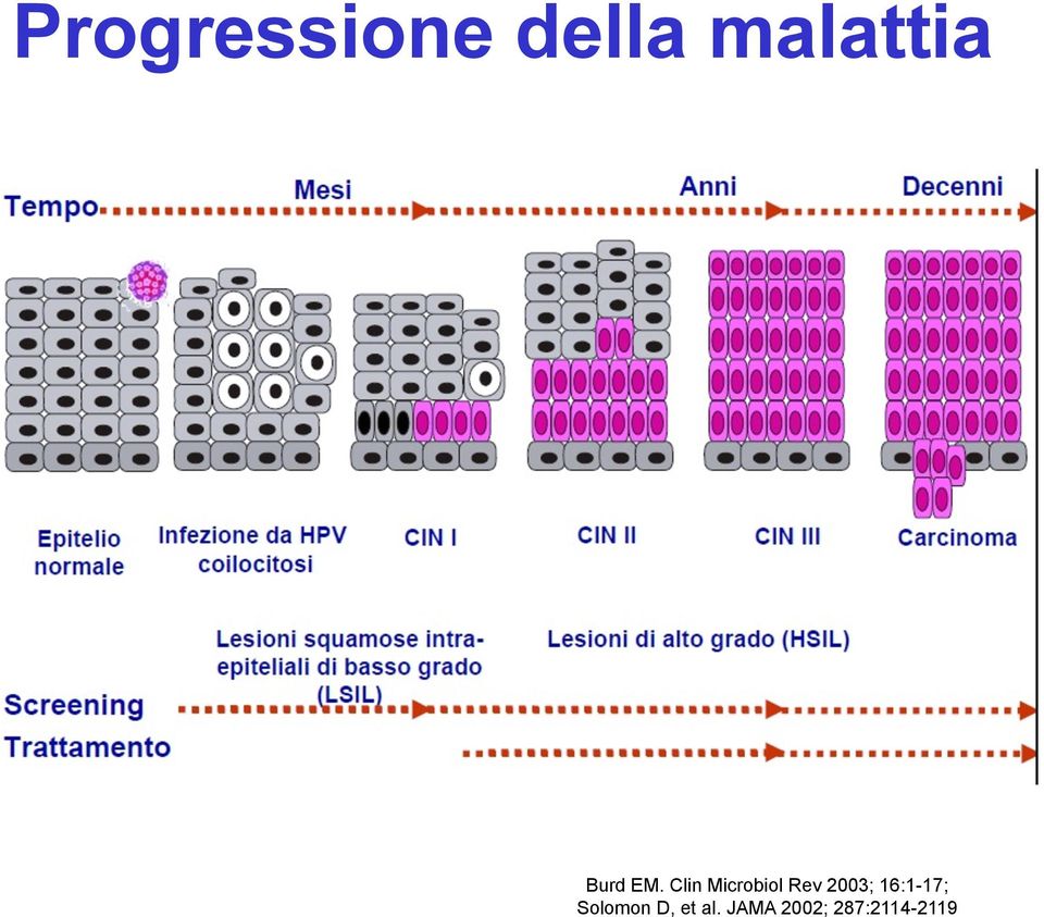 Clin Microbiol Rev 2003;