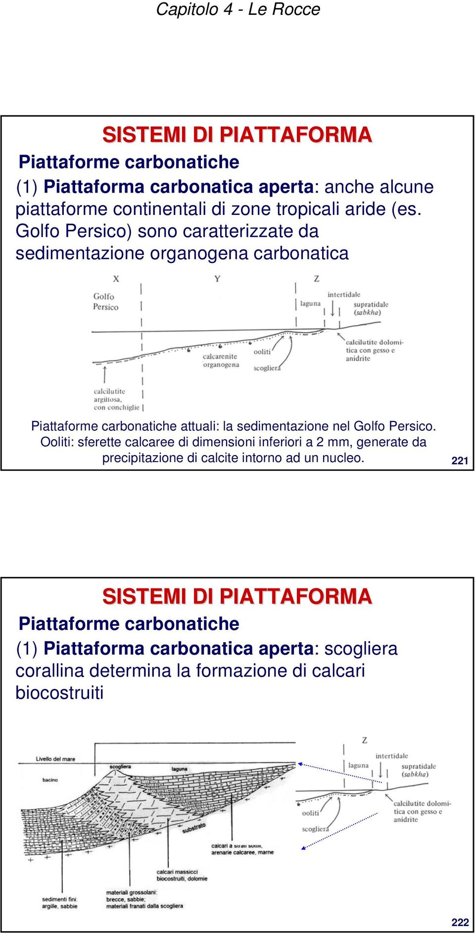 Golfo Persico) sono caratterizzate da sedimentazione organogena carbonatica Piattaforme carbonatiche attuali: la sedimentazione nel Golfo