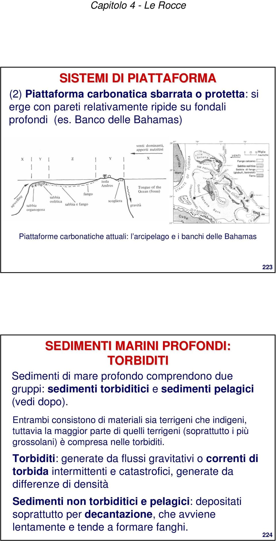 torbiditici e sedimenti pelagici (vedi dopo).