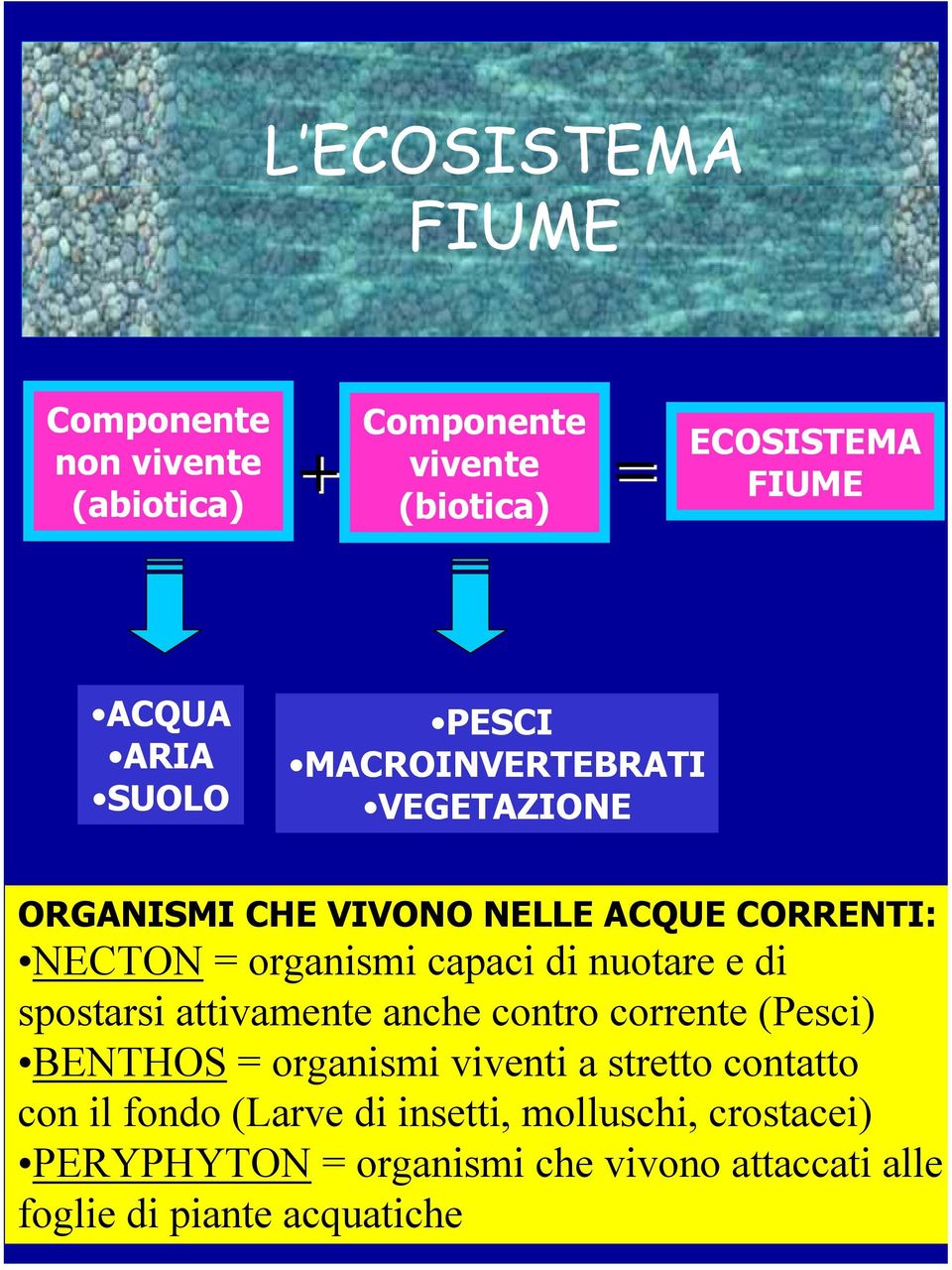 nuotare e di spostarsi attivamente anche contro corrente (Pesci) BENTHOS = organismi viventi a stretto contatto con