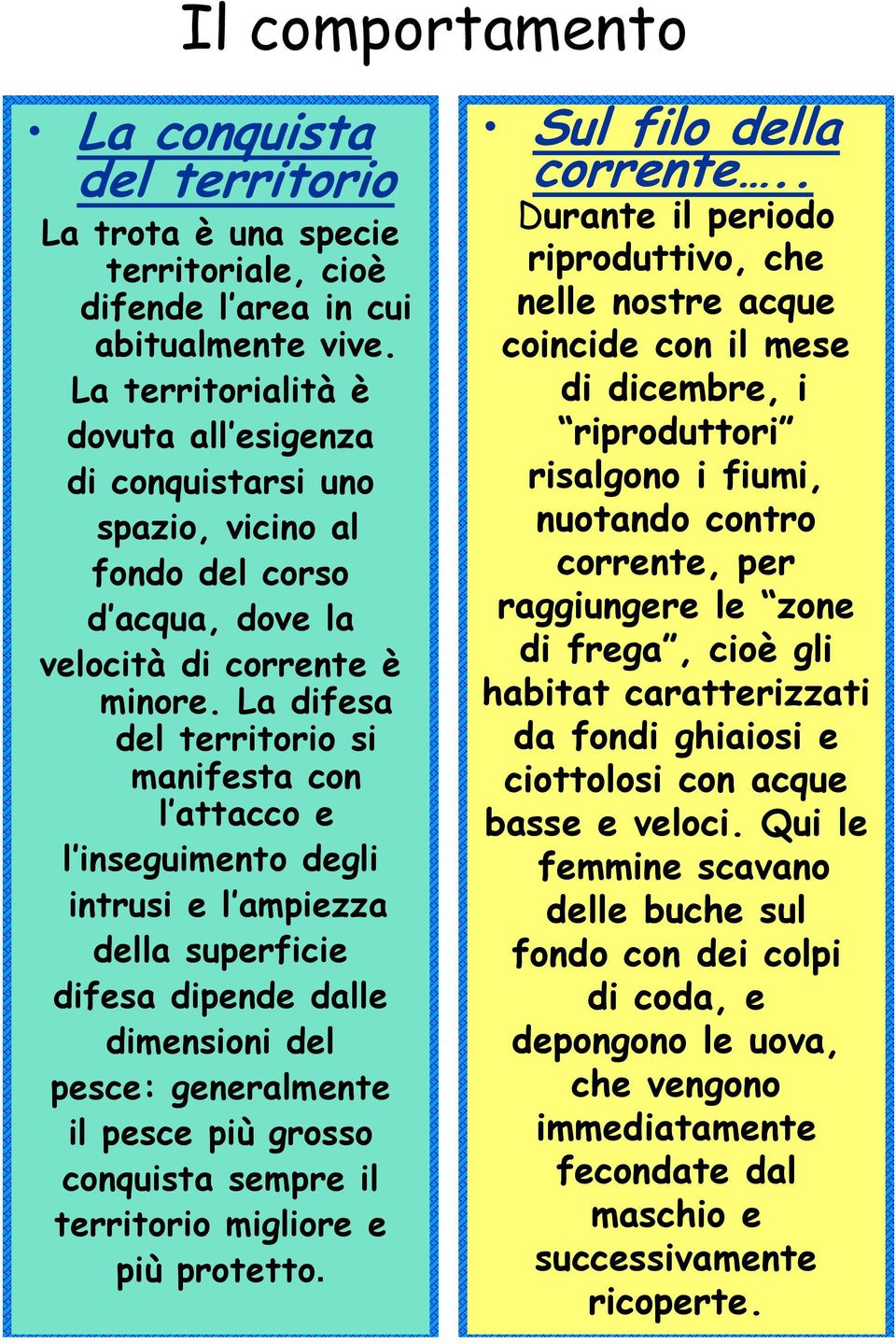 La difesa del territorio si manifesta con l attacco e l inseguimento degli intrusi e l ampiezza della superficie difesa dipende dalle dimensioni del pesce: generalmente il pesce più grosso conquista