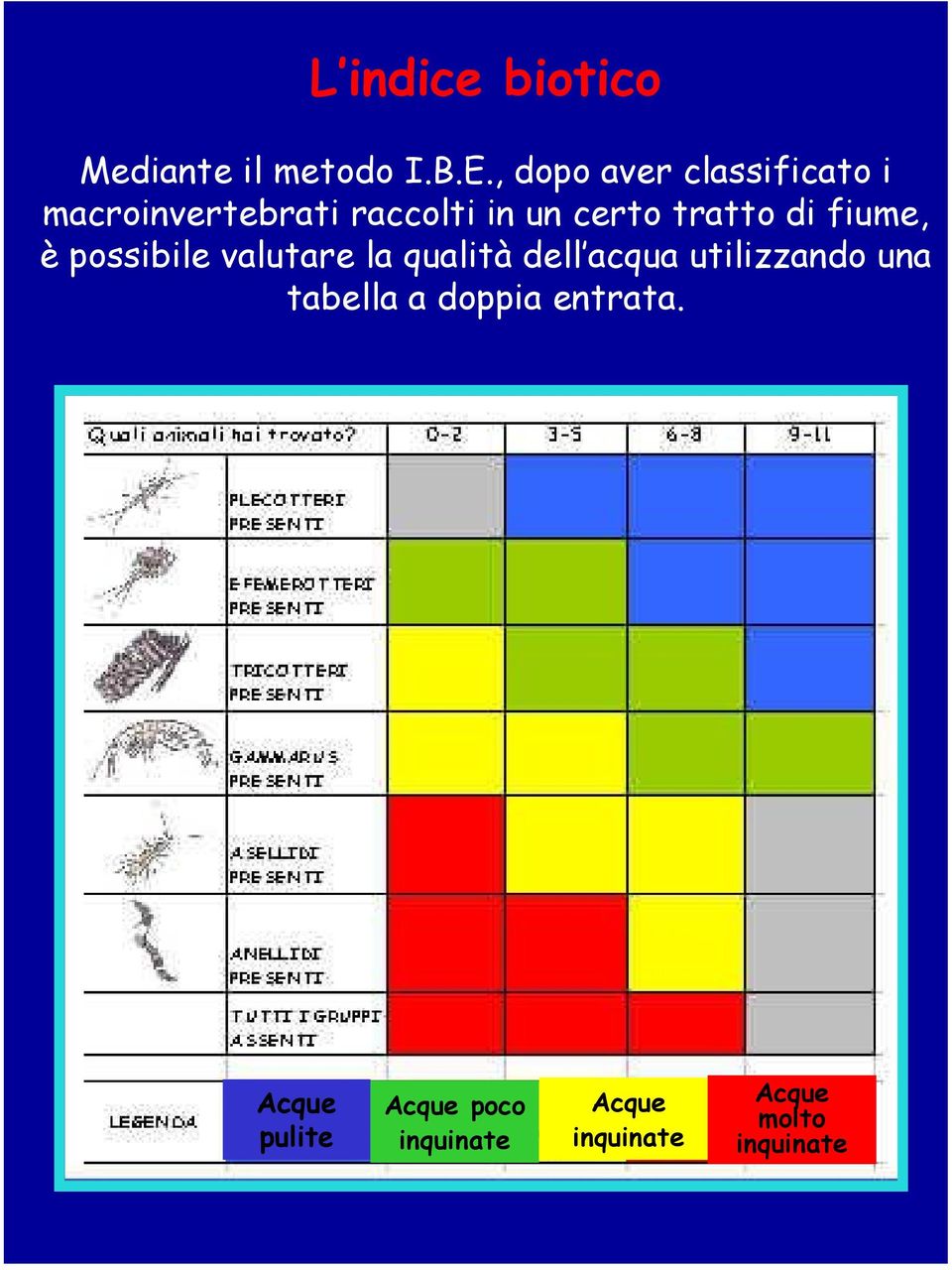 tratto di fiume, è possibile valutare la qualità dell acqua