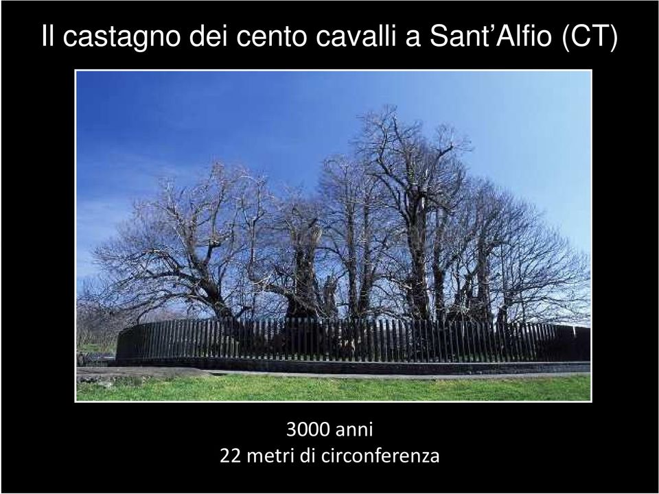 Alfio (CT) 3000 anni
