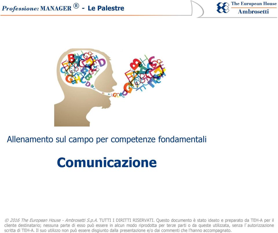 Questo documento è stato ideato e preparato da TEH-A per il cliente destinatario; nessuna parte di esso può essere in alcun