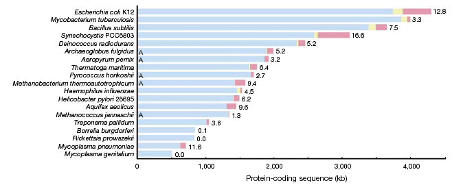 Adattamento ed evoluzione batterica Quantità (valori percentuali) di DNA atipico (trasferito) nei genomi