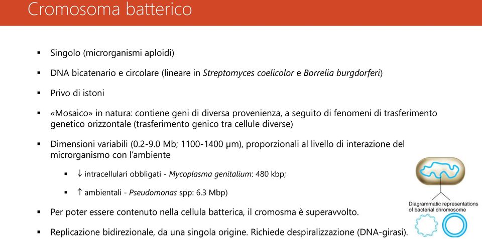 0 Mb; 1100-1400 µm), proporzionali al livello di interazione del microrganismo con l ambiente intracellulari obbligati - Mycoplasma genitalium: 480 kbp; ambientali - Pseudomonas